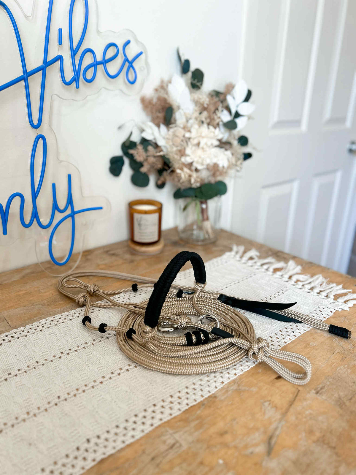 Premium Paracord Braided Halter + Lead Set