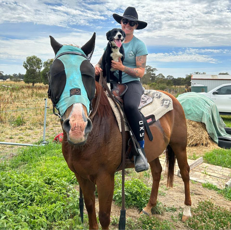 Louievale Equine studio