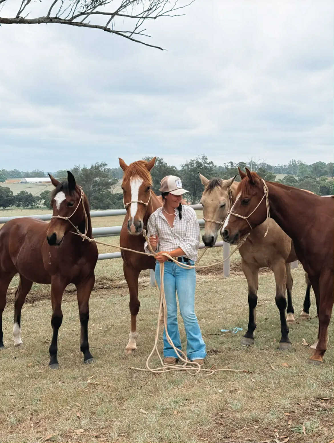 Halters & Lead Ropes