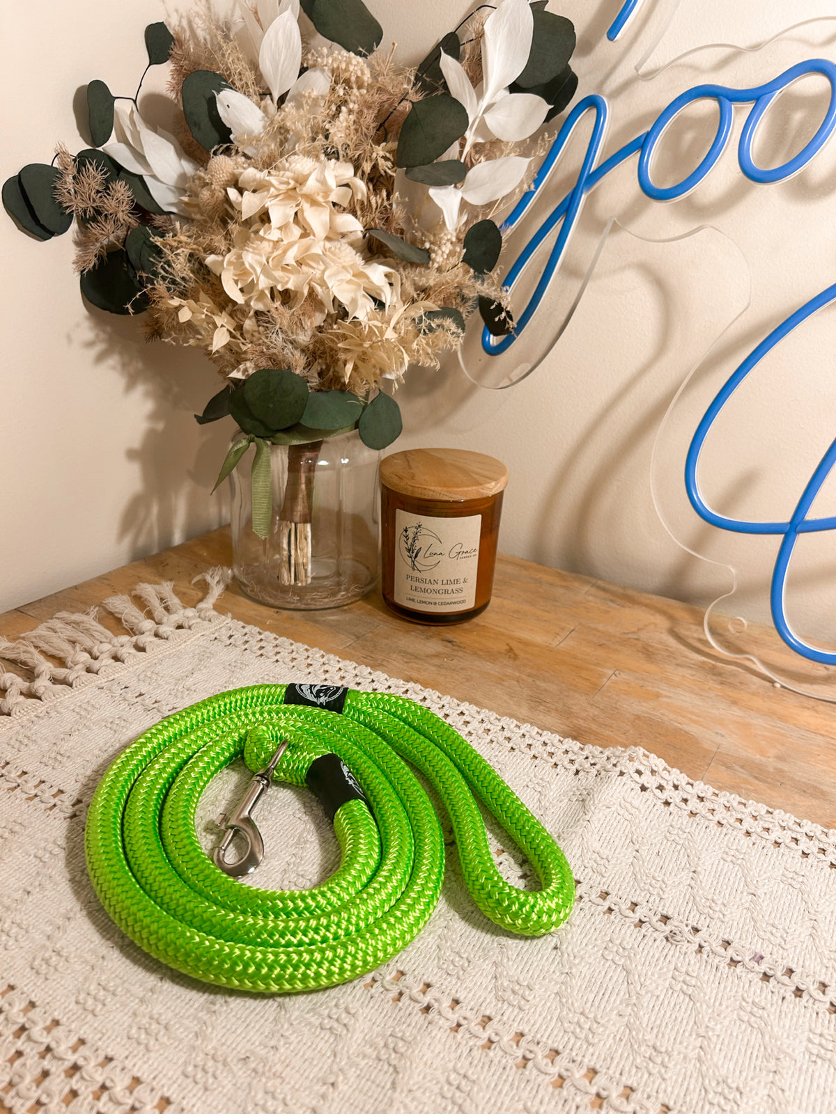 Dog Lead