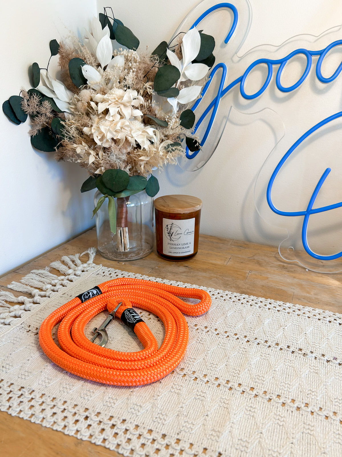 Dog Lead