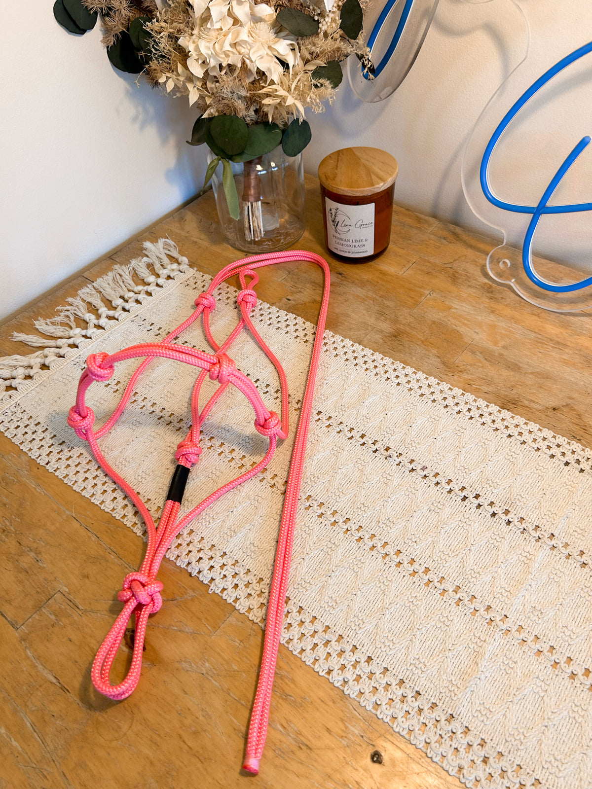 Knotted Training Halter